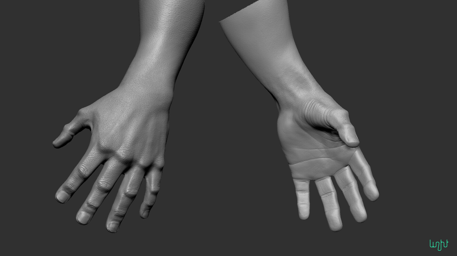 hand sculpt