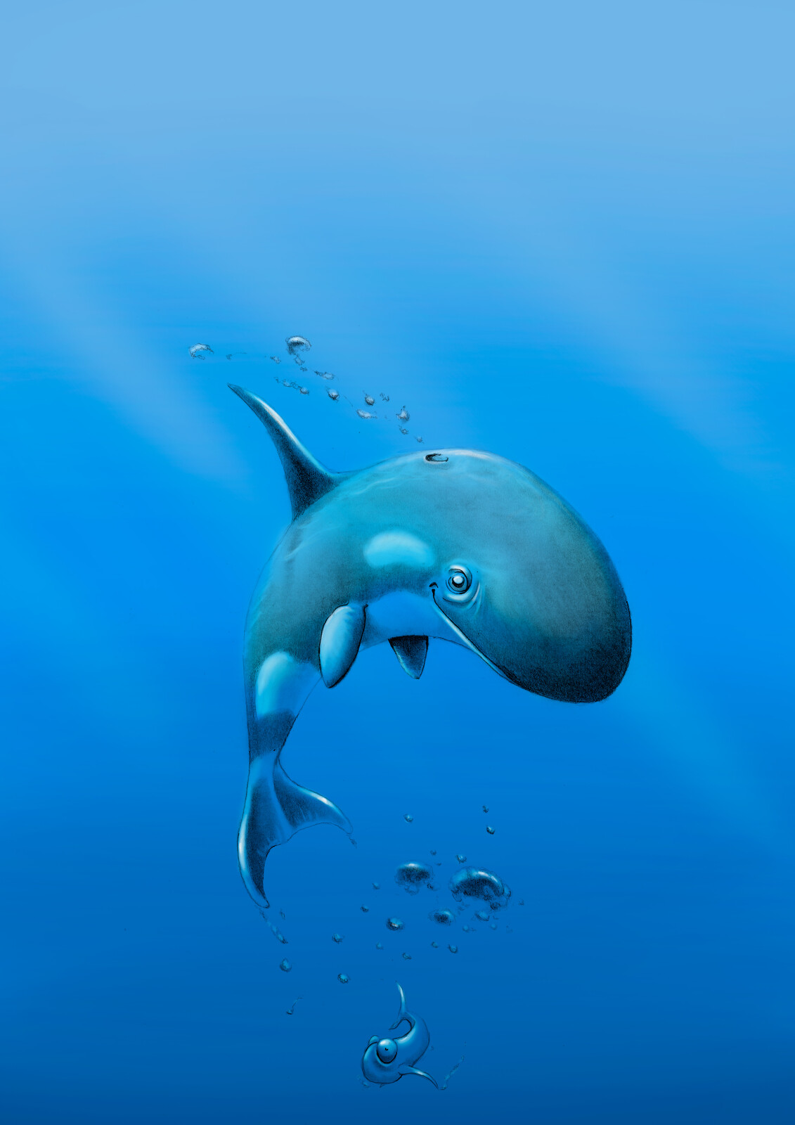 orca