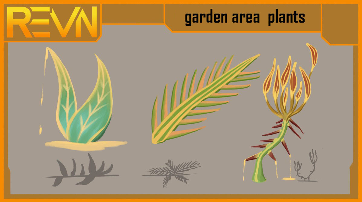 concepts for various plants in the garden area