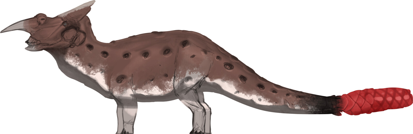 Base colours and design