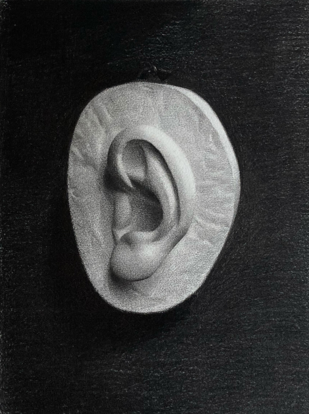 Cast drawing of David's Ear