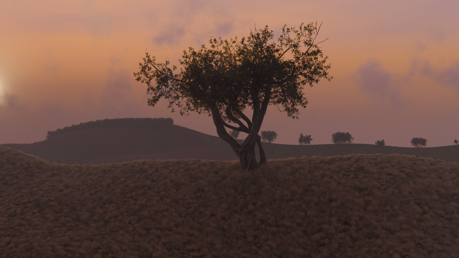 Solitary Tree