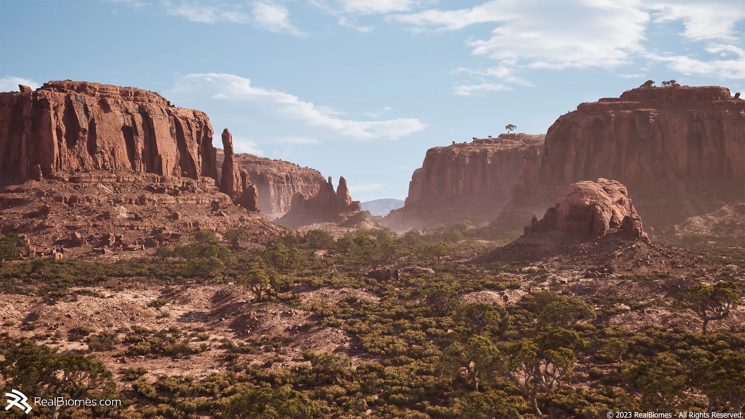 RealBiomes - A quick environment breakdown | RealBiomes Desert Cliffs