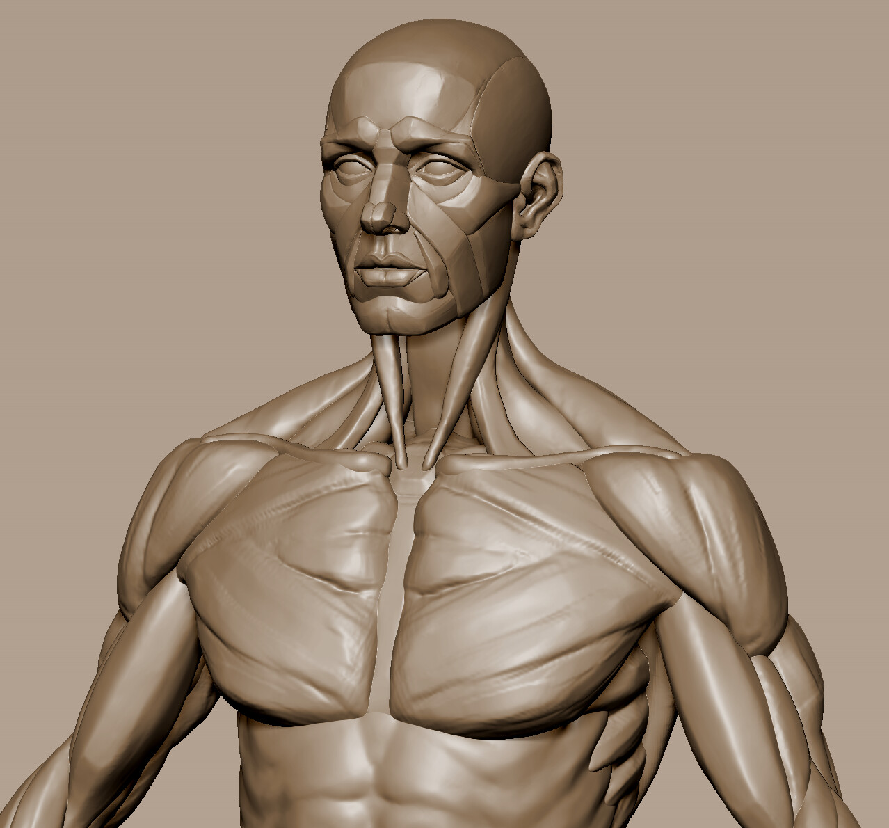 ArtStation - 男性人体骨骼肌肉解剖练习, image size:1278x1190