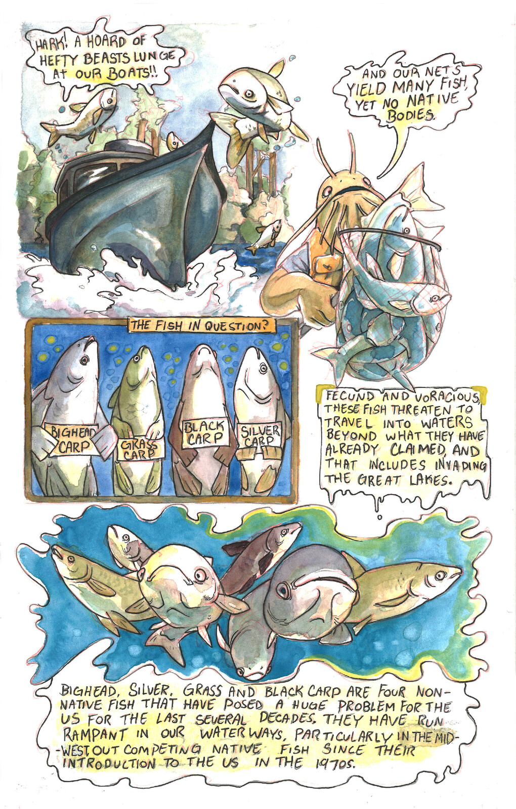 Page 1 of Cut the Carp