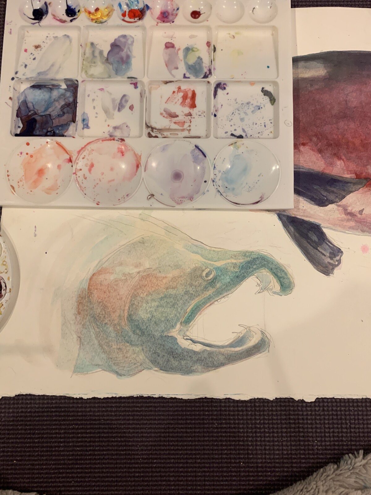 WIP of a Coho Salmon head