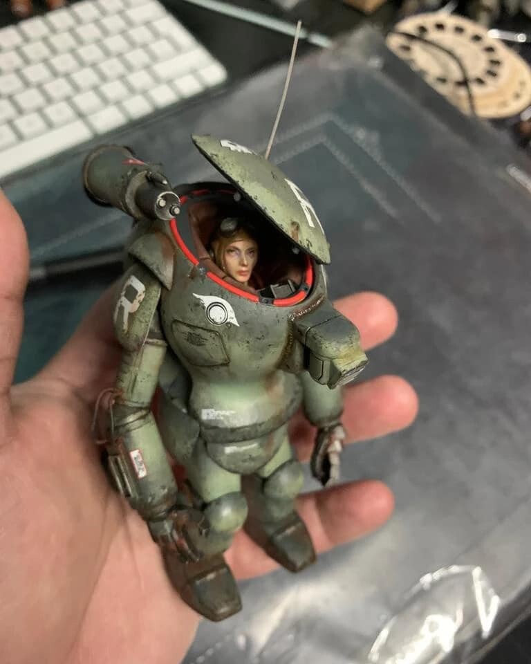 SAFS Raccoon 1/20 scale