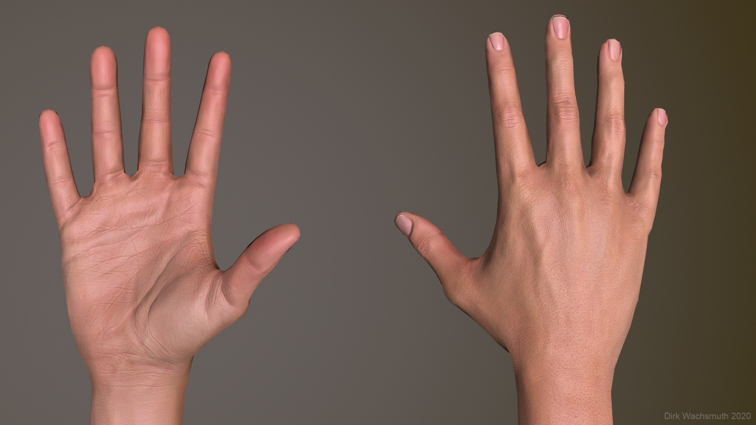 Realtime Hands... [SPOILER] yes you will see bare hands in the deep sea :)