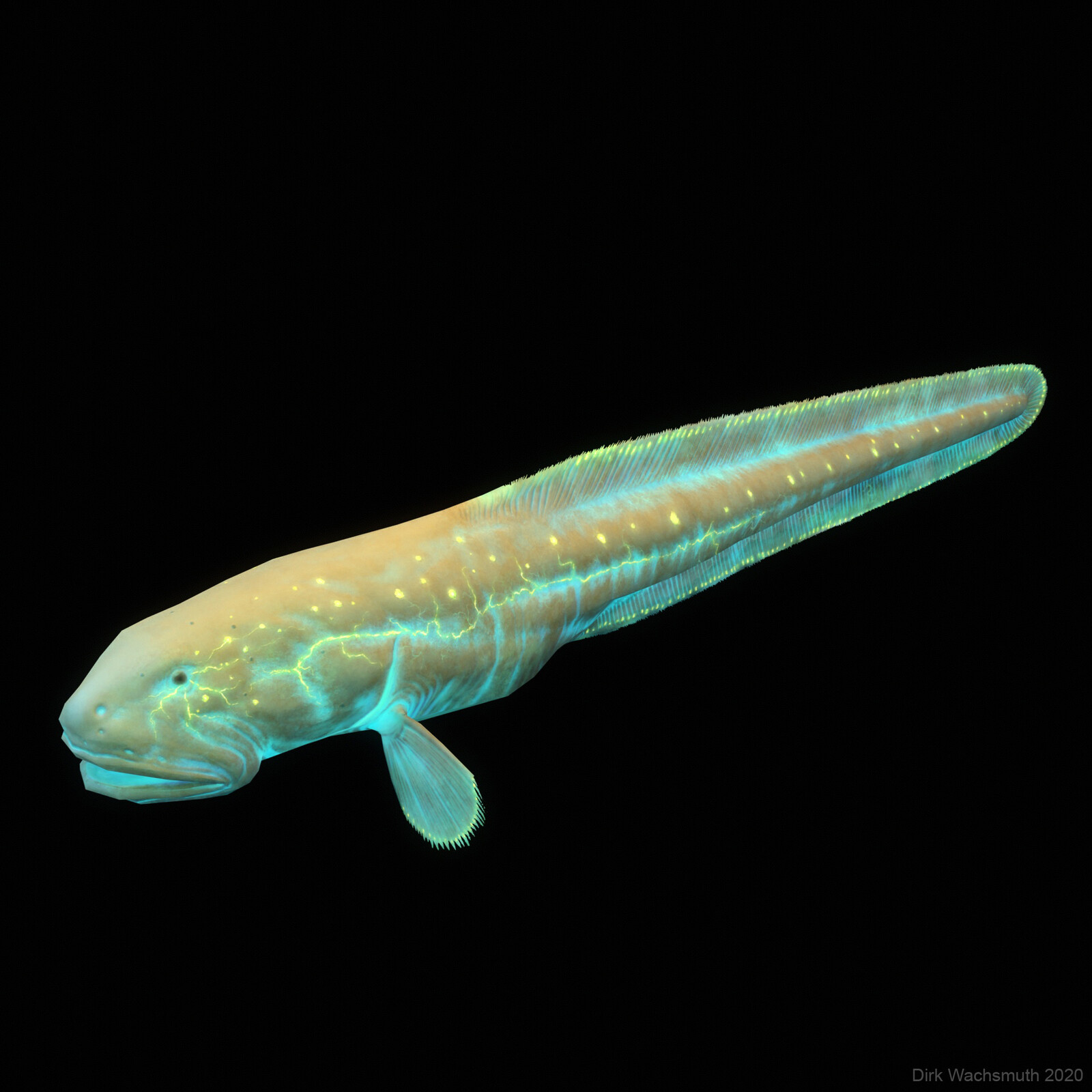 With Bioluminescence Textures