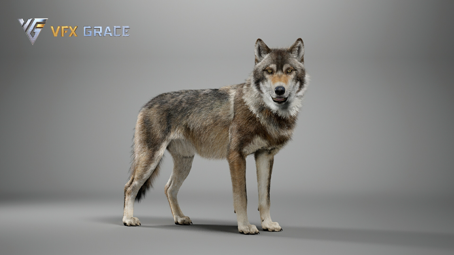 VFX models - Wolf - UE Character Asset