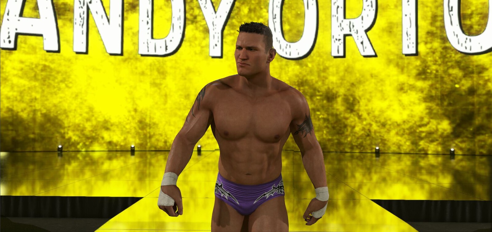 Randy Orton
based on his Armageddon 2003 attire