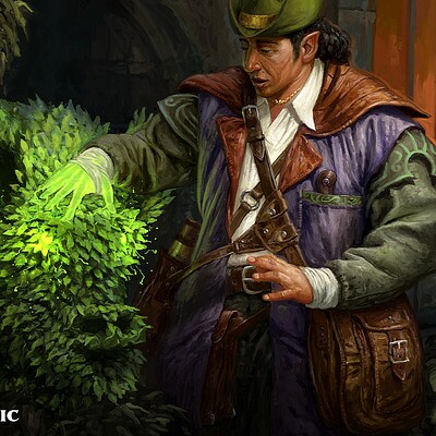 Hedge Whisperer (MtG)