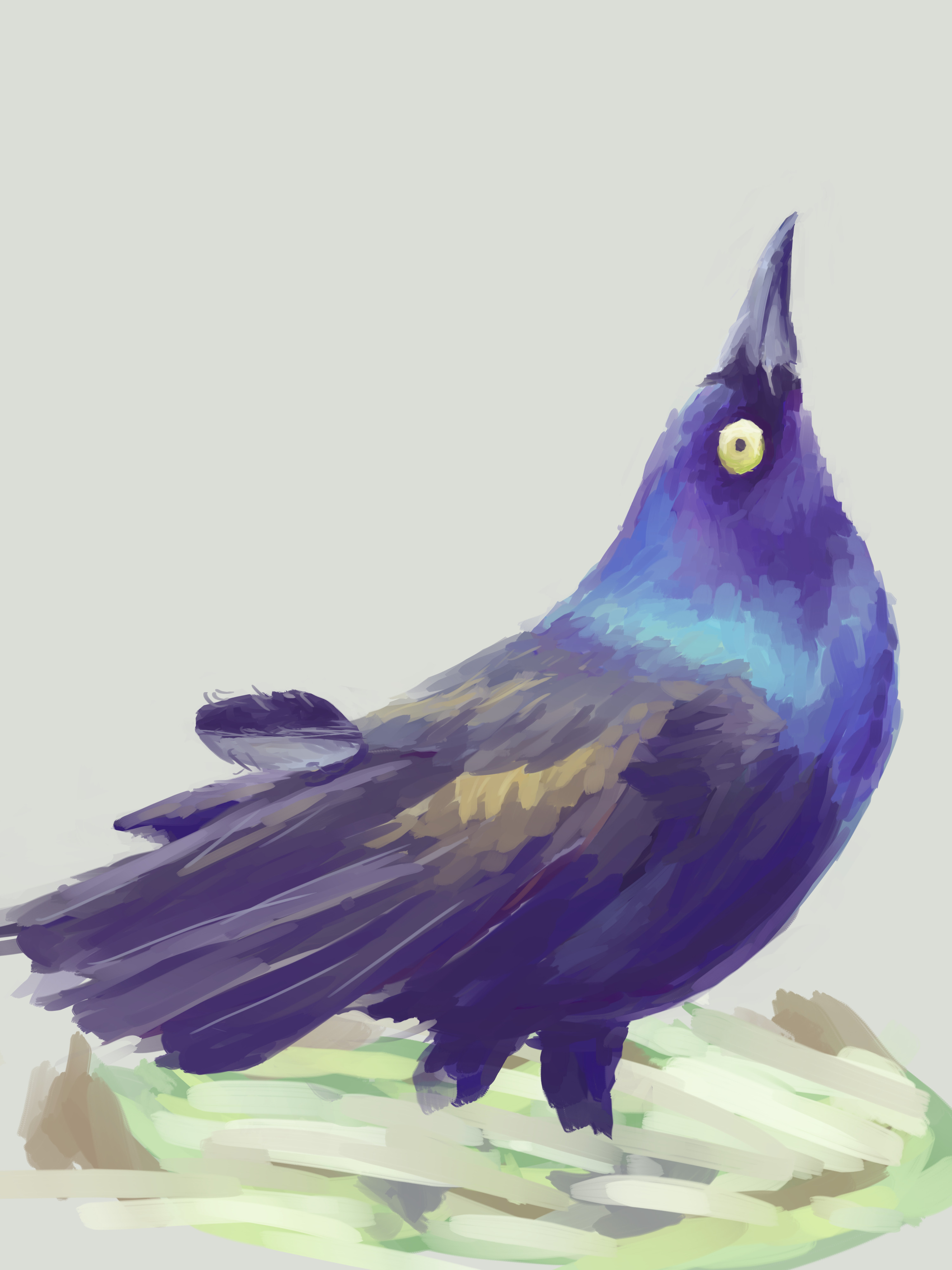 bird :)