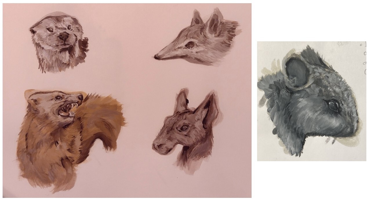 ArtStation - Gouache animal paintings
