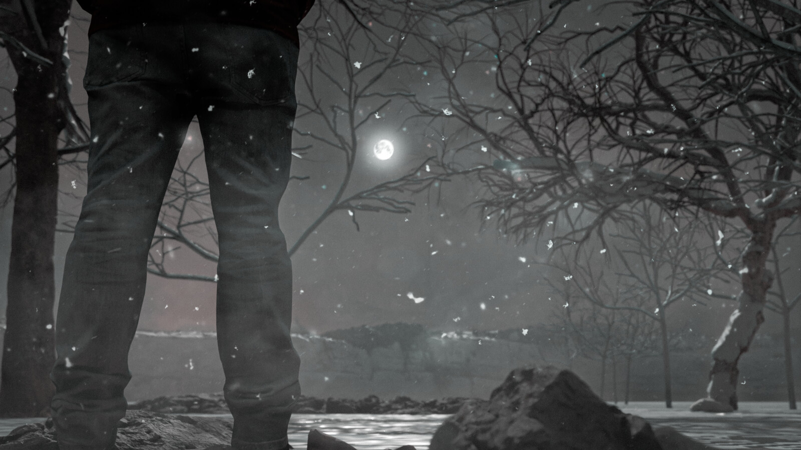 Snowy Forest