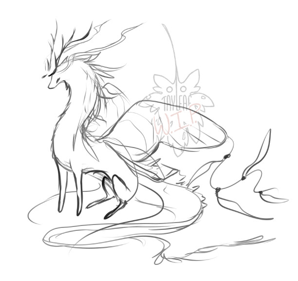 Initial Sketch