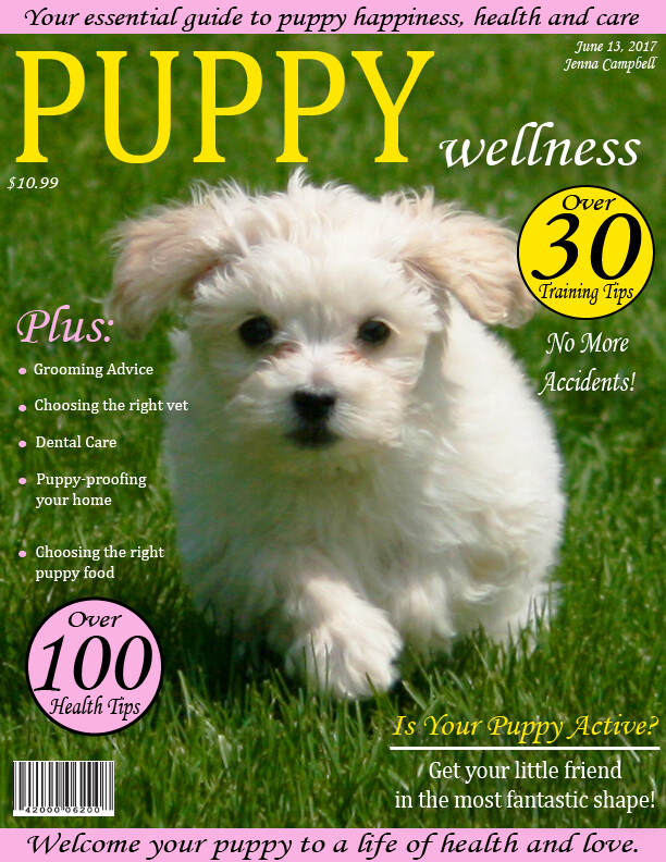 Final Magazine Cover