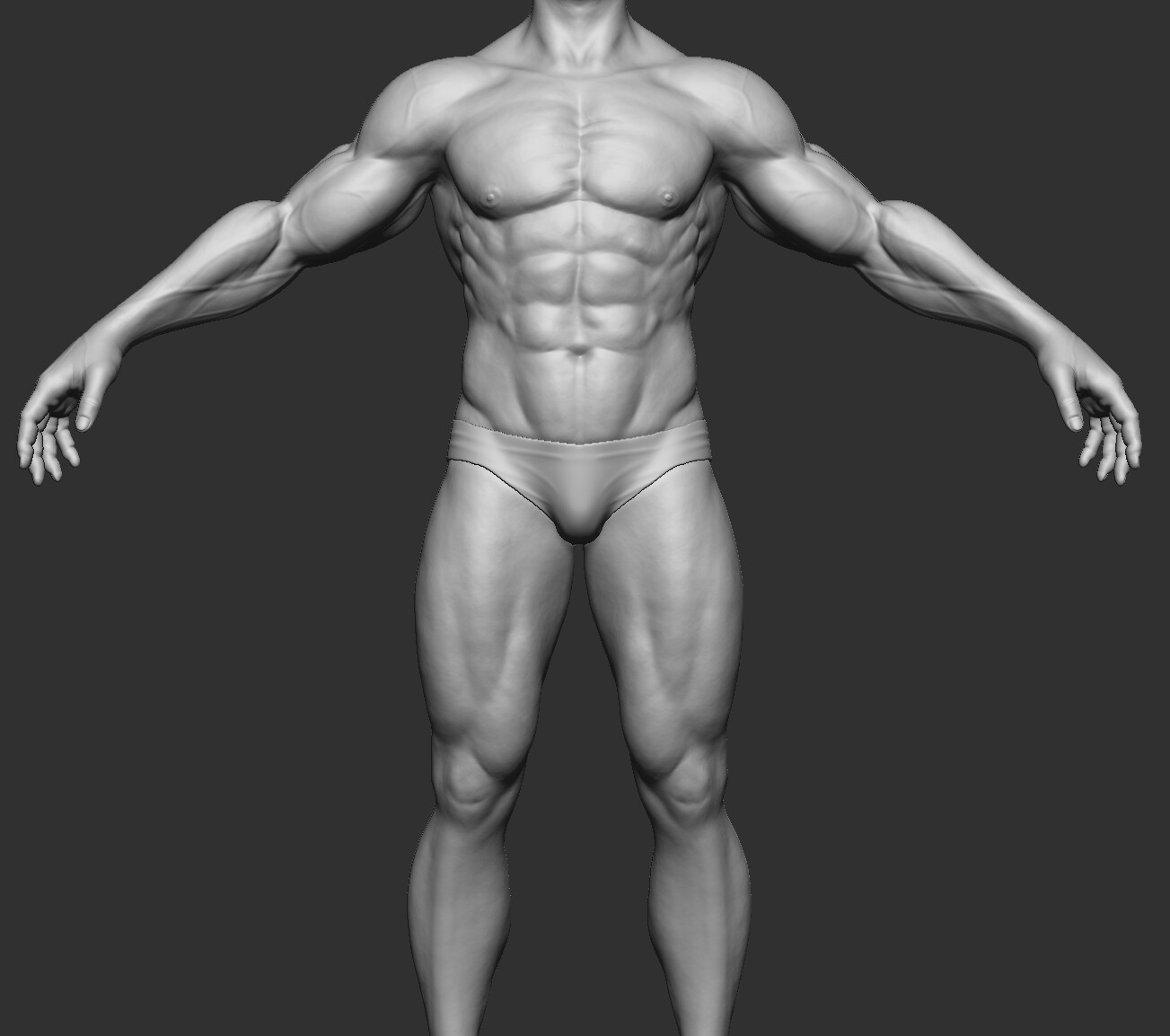 Body anatomy