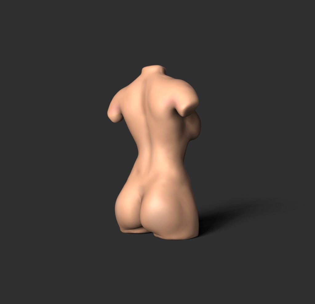 ArtStation - NUDE FEMALE TORSO