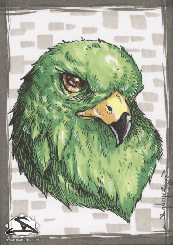 Sketchcard - Hawk