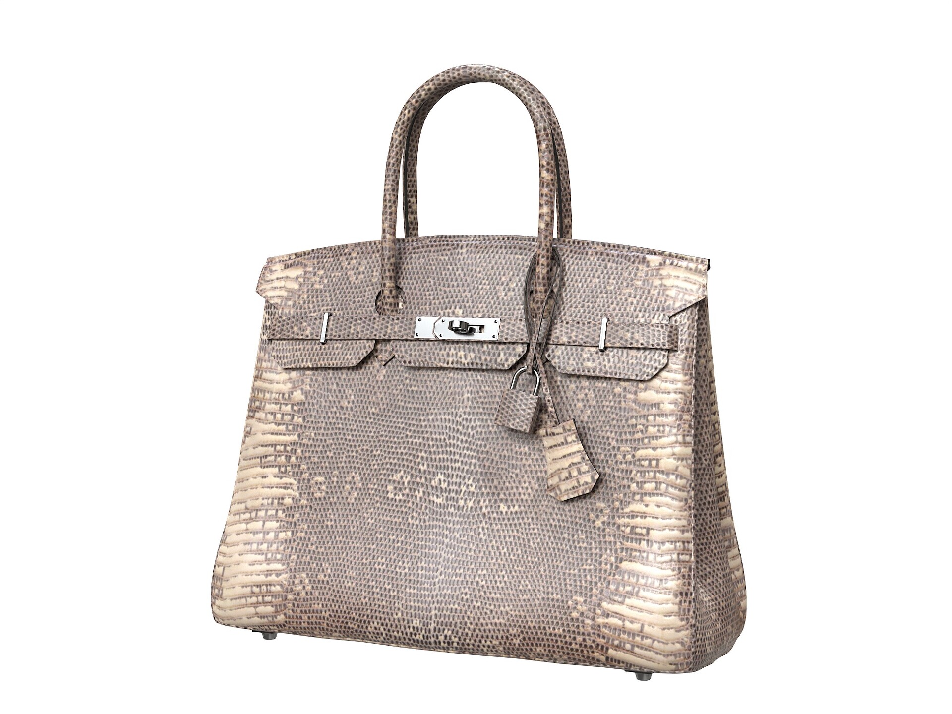 ArtStation Hermes Birkin Bag Snake Leather