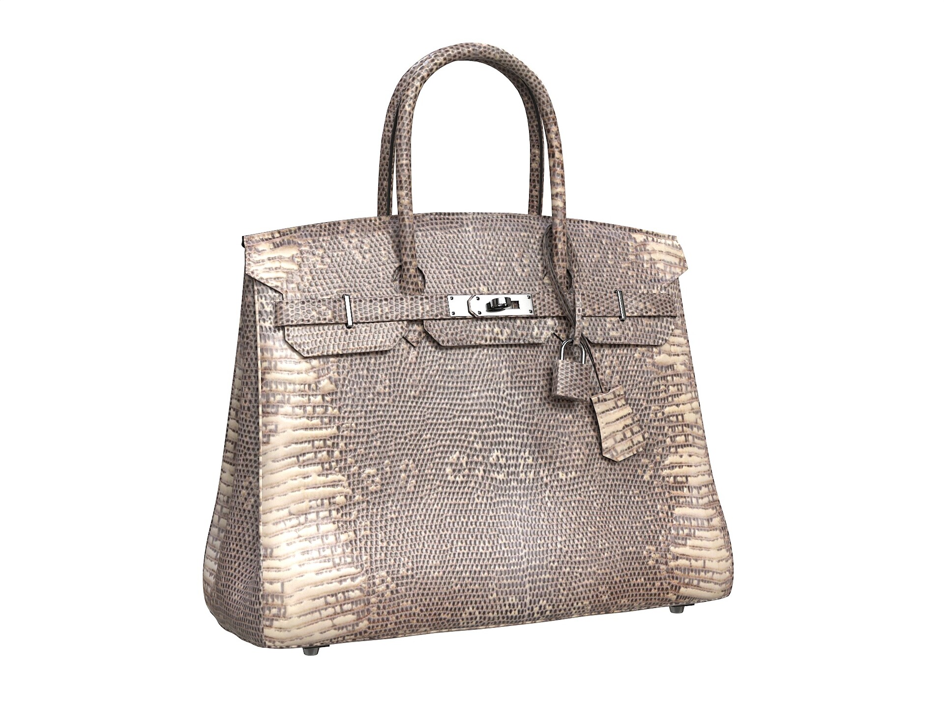 Hermes birkin snake store