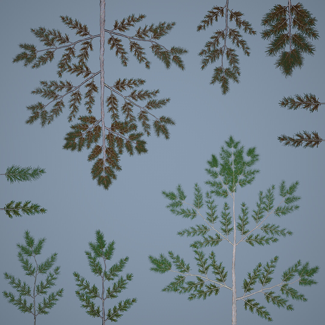 Pine Branch Atlas (baked to plane)