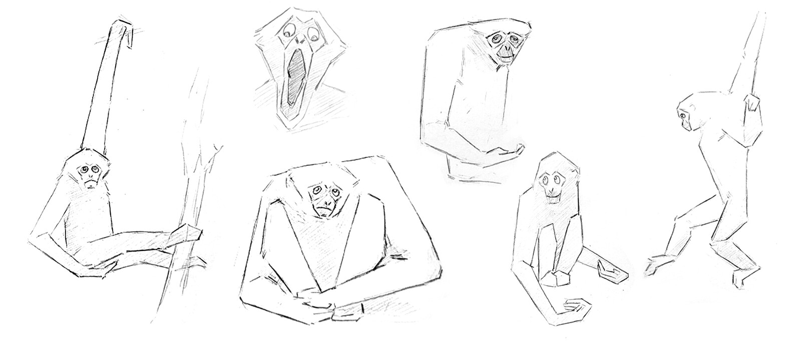 Gibbons-Stylized drawing sketches