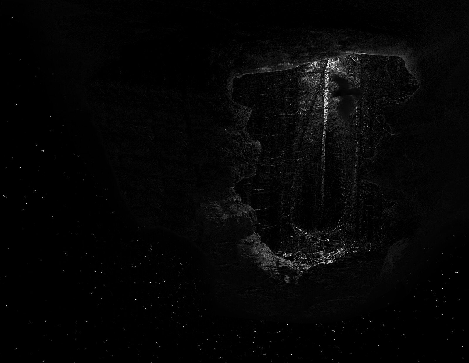 2023 - Expressive Color: Black - This is a composited image that is meant to represent a single color. I chose black.
