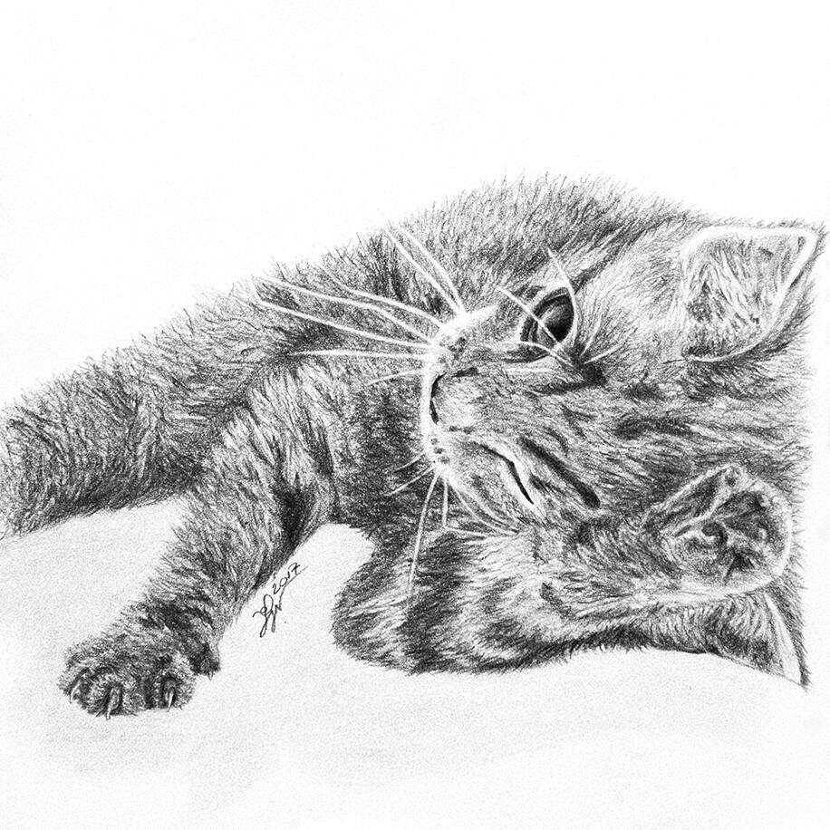 Little kitty (Personal work)