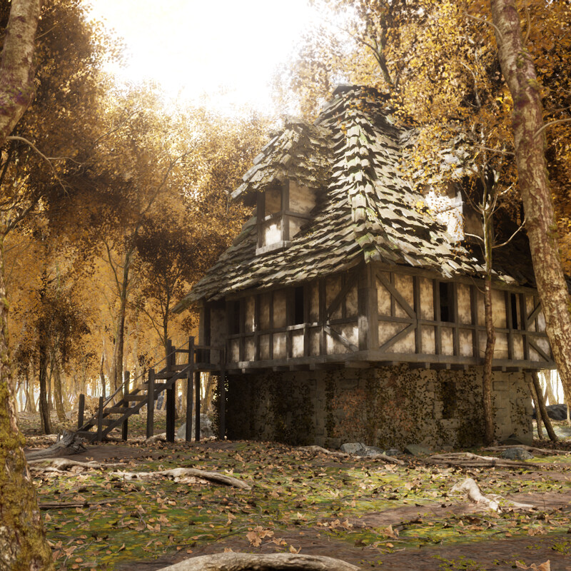 Abandoned Cottage