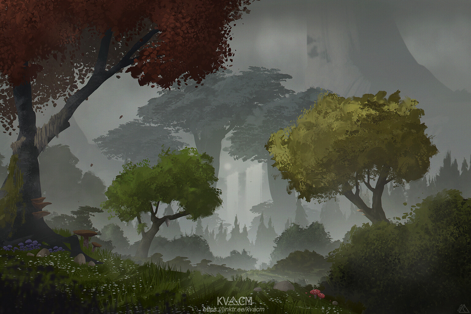 Foggy Forest