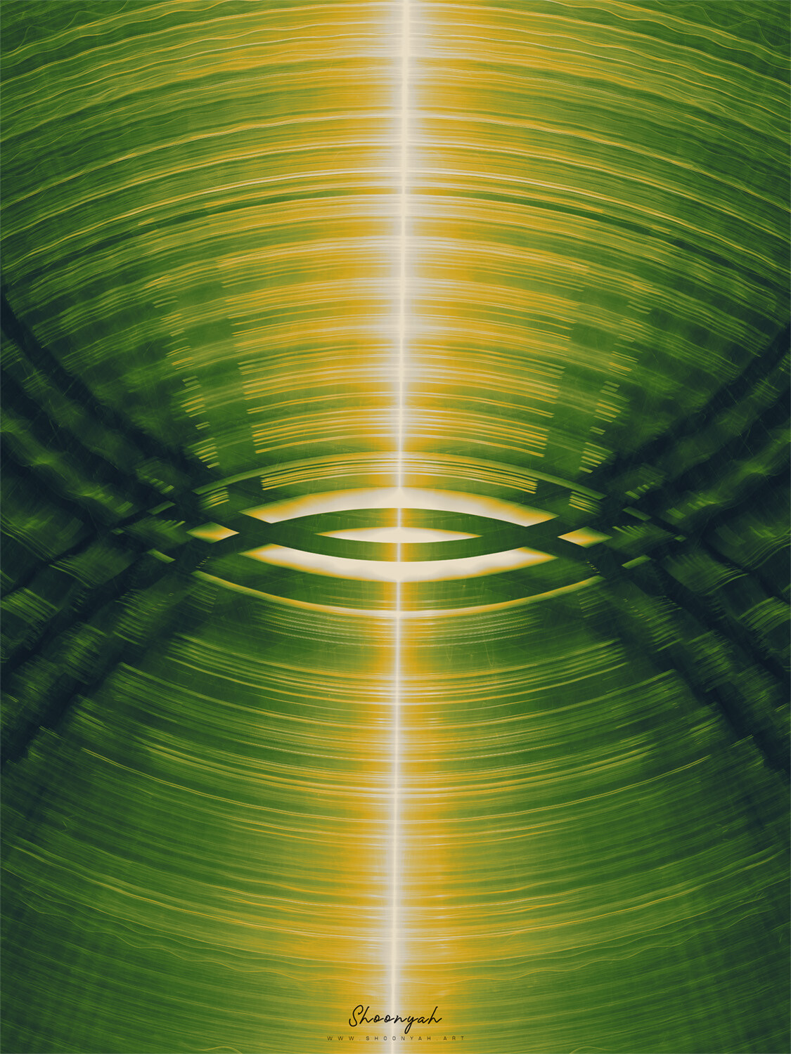 Abstract Division | 02-Oct-23