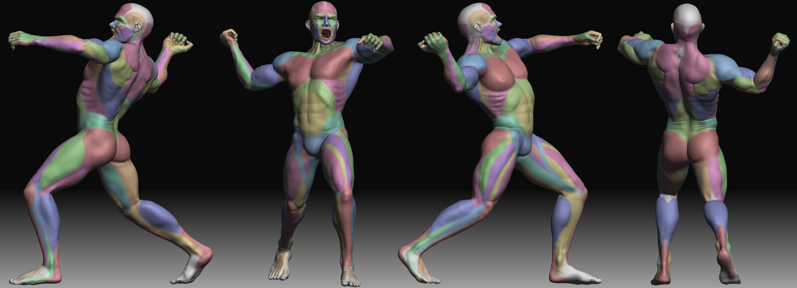 Ecorche Turnaround
