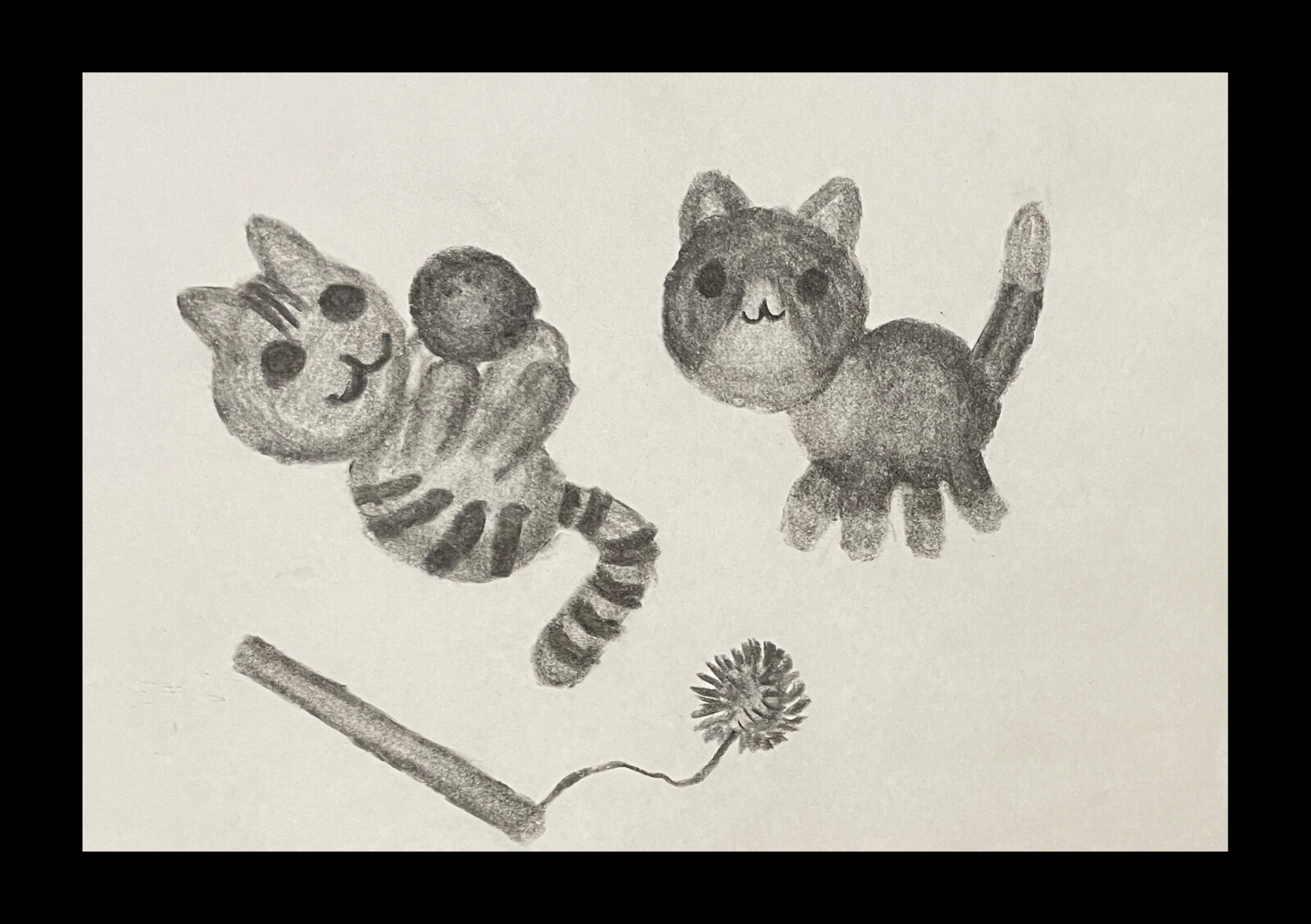More Cats