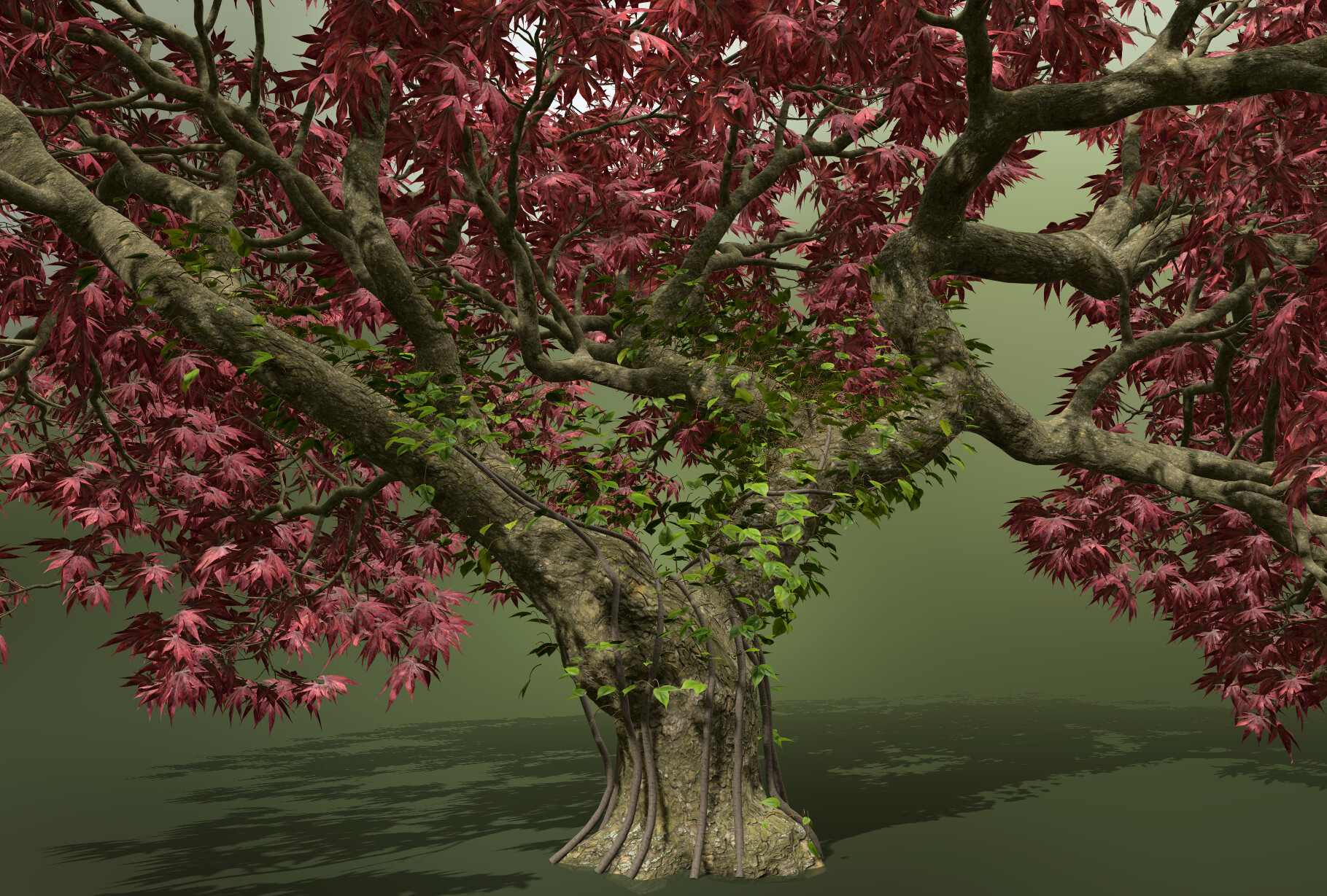 Inu Games IGToolsPP Examples Japanese Maple inu-games-igtoolspp-examples-japanese-maple