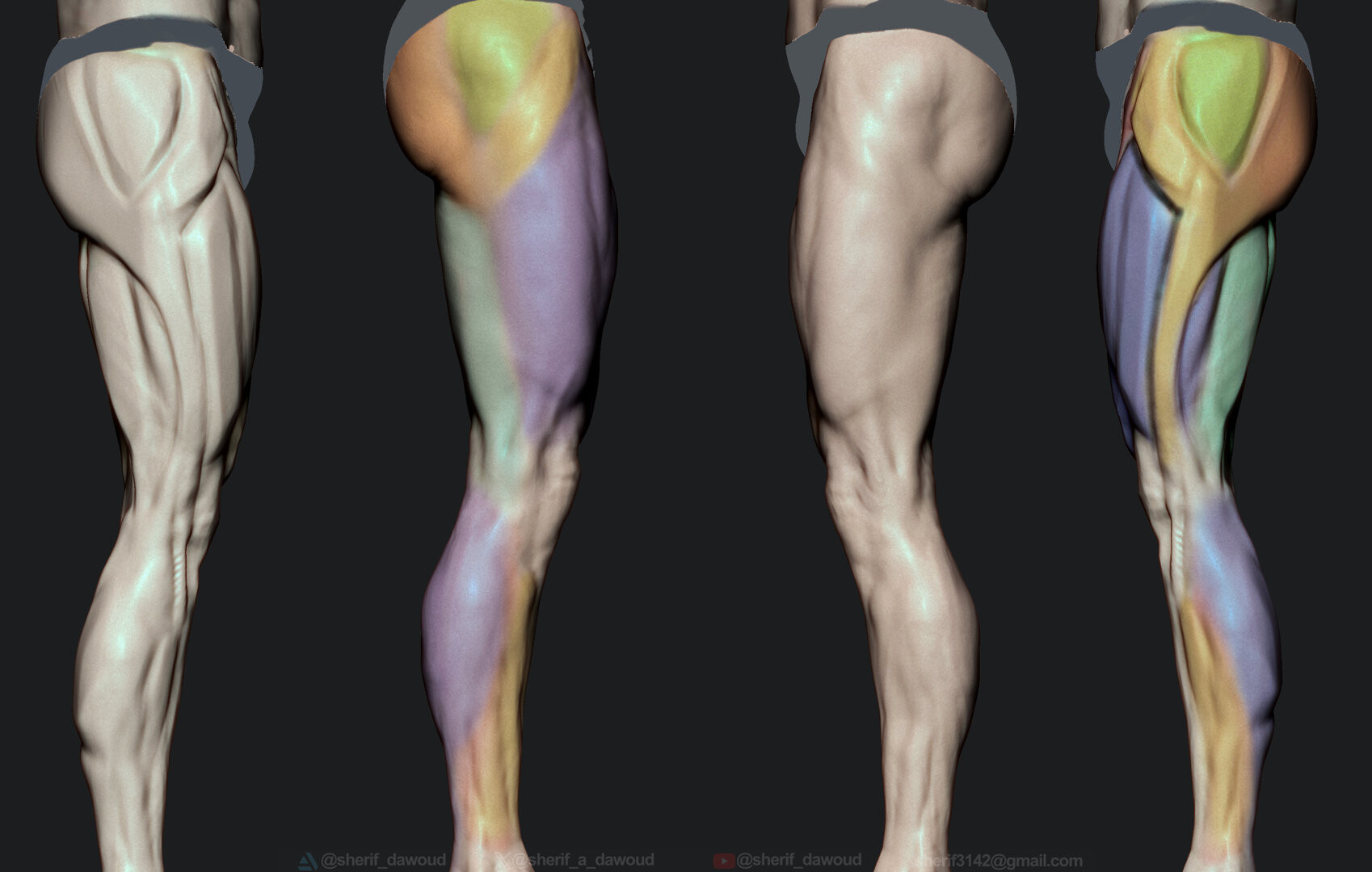 ArtStation - Calf muscles