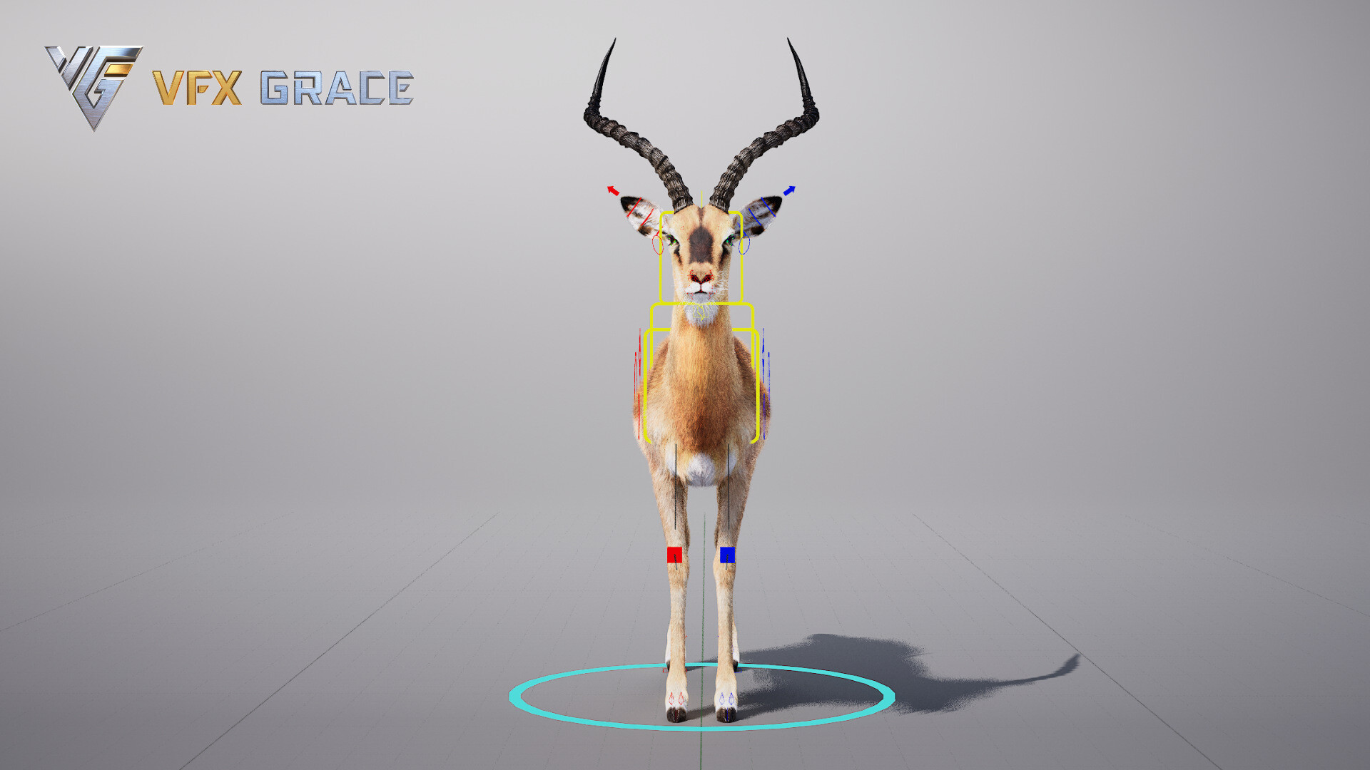 VFX models - Impala Animated - UE Character Asset