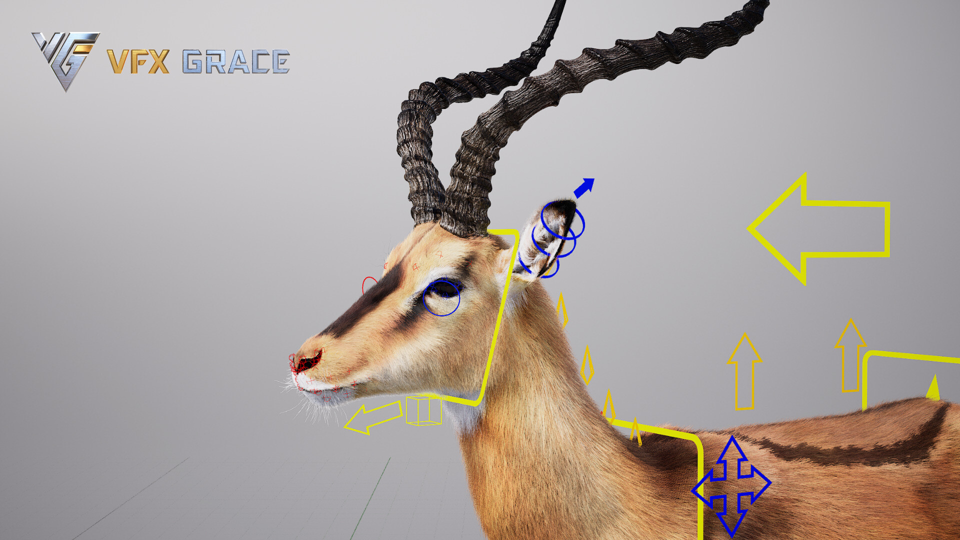 VFX models - Impala Animated - UE Character Asset