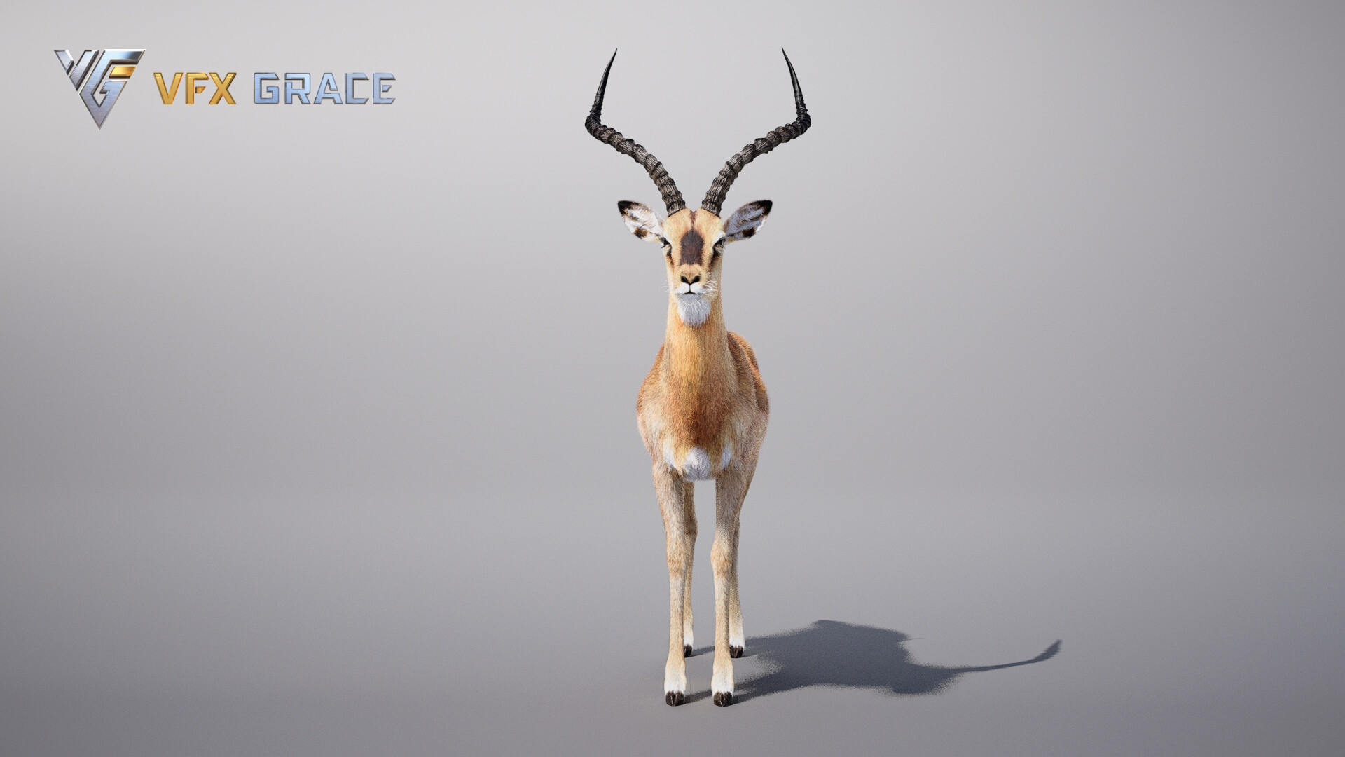 VFX models - Impala Animated - UE Character Asset