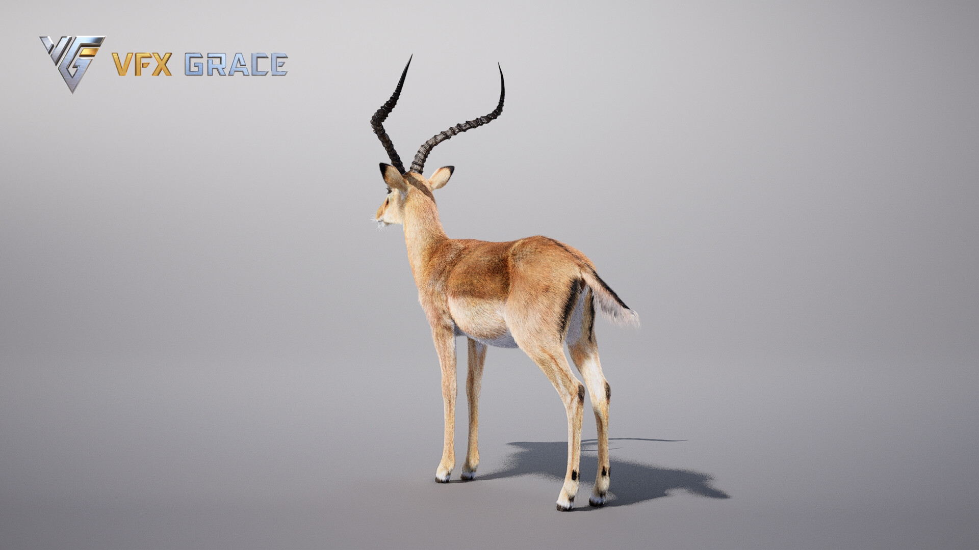 VFX models - Impala Animated - UE Character Asset