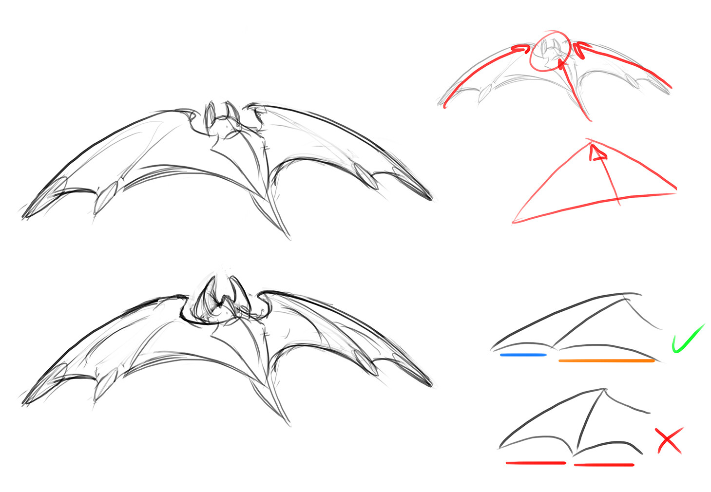 Bat sketches