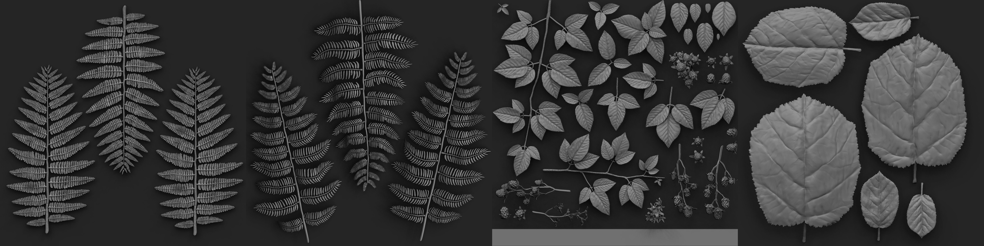 zBrush: Foliage Atlases Sculpts