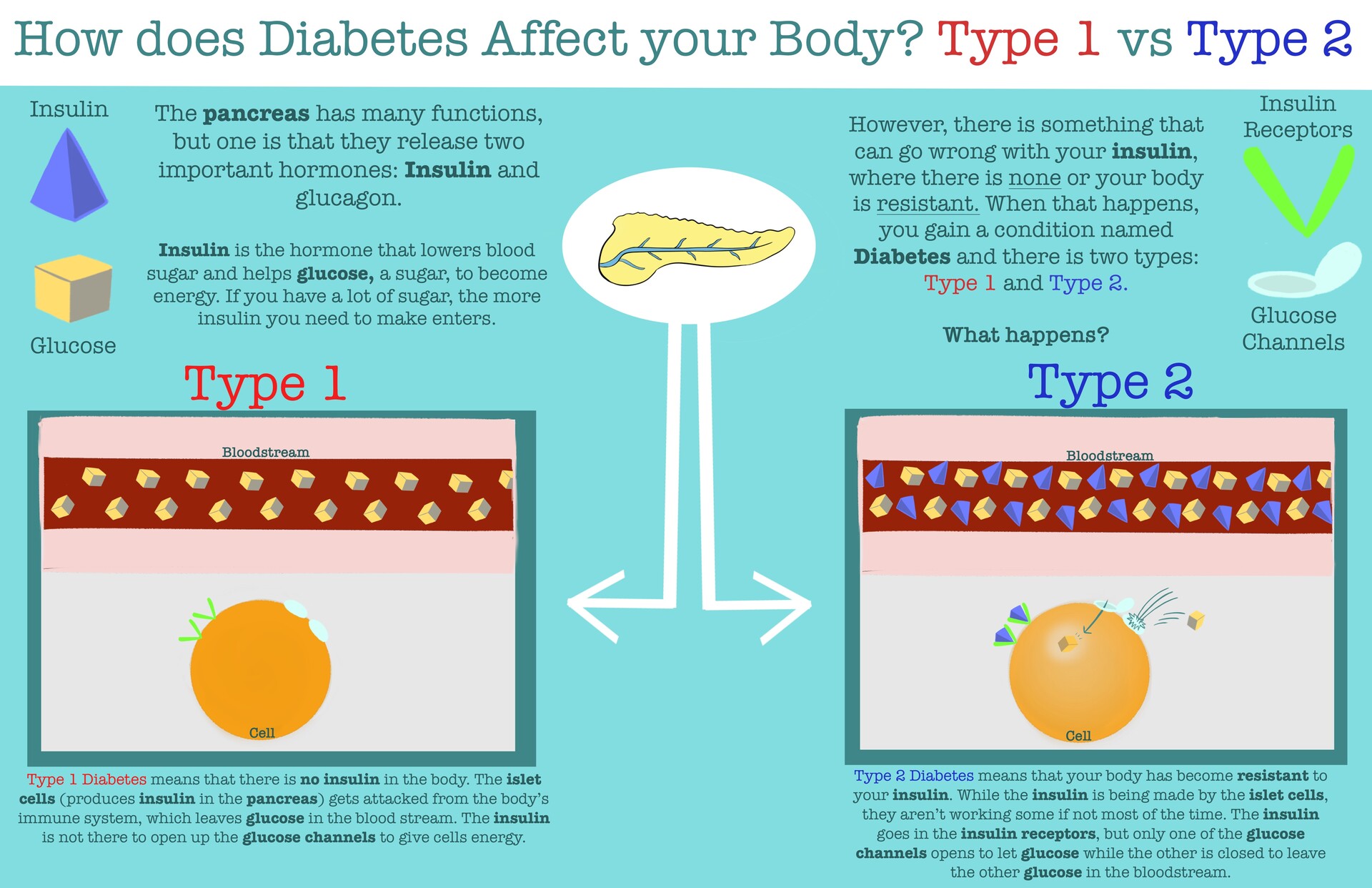 ArtStation   Type 200 vs Type 20 Diabetes Infographic Illustration