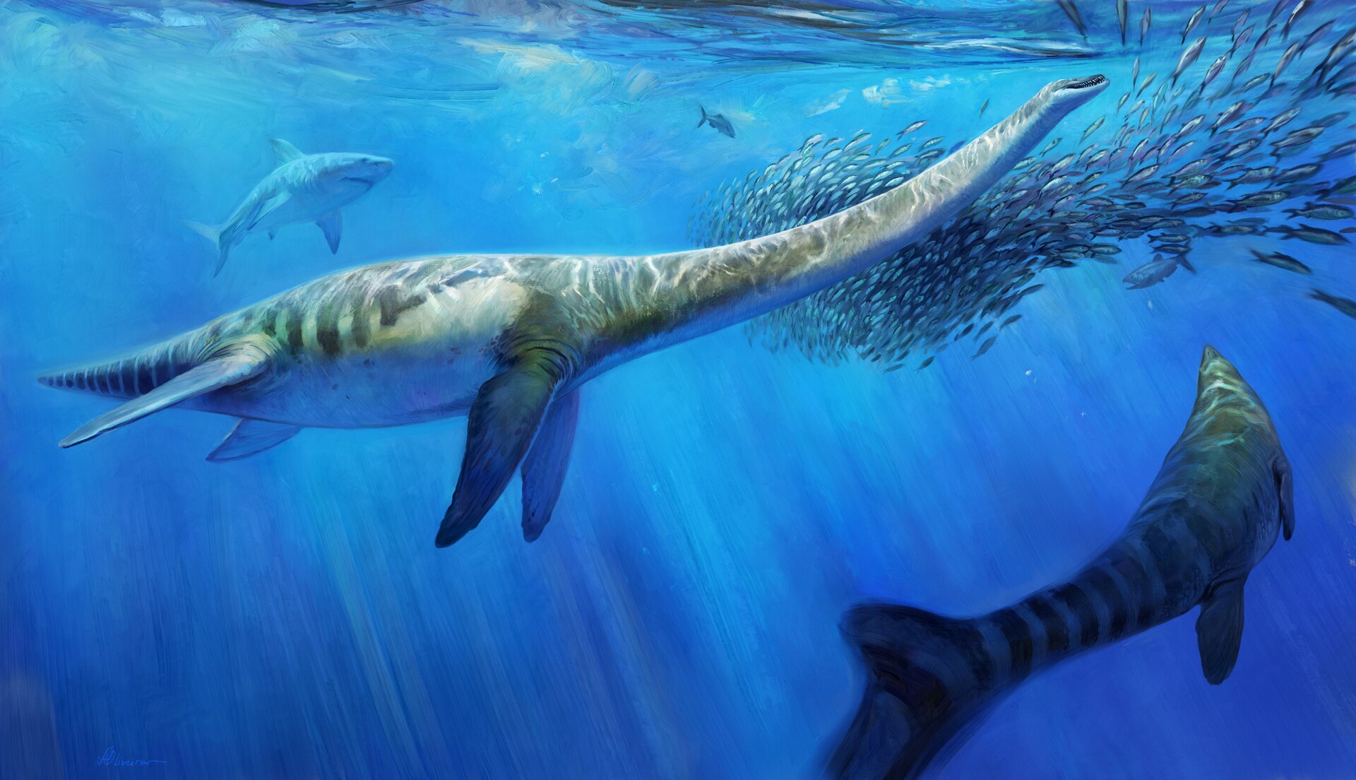 ArtStation - The Syrian elasmosaur