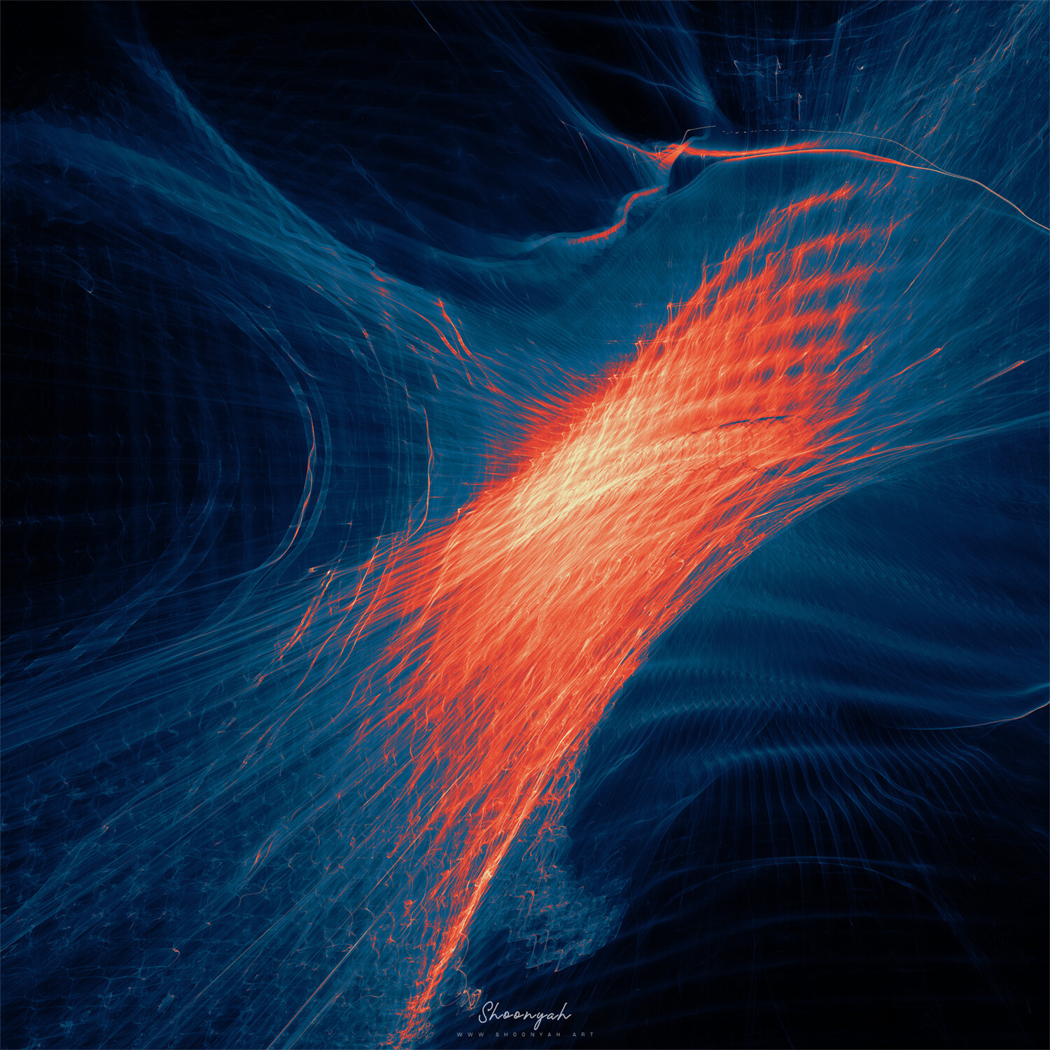 Fiber Warp | 08-Dec-23