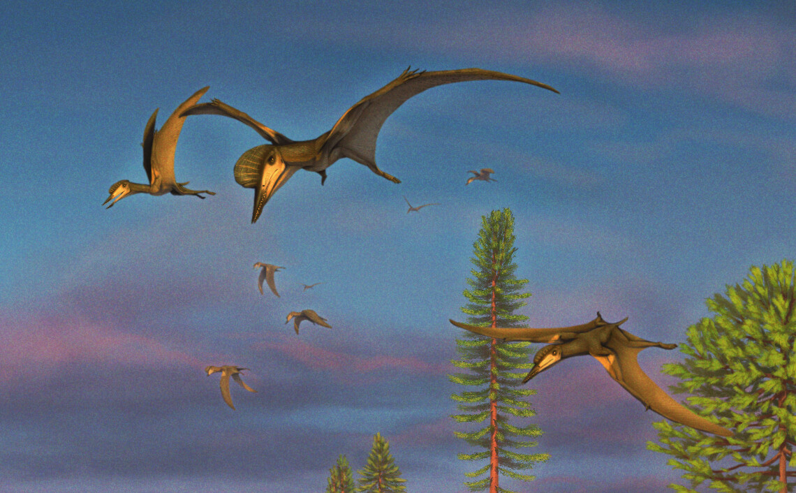 Tendaguripterus