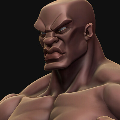 Stylized Anatomy Study