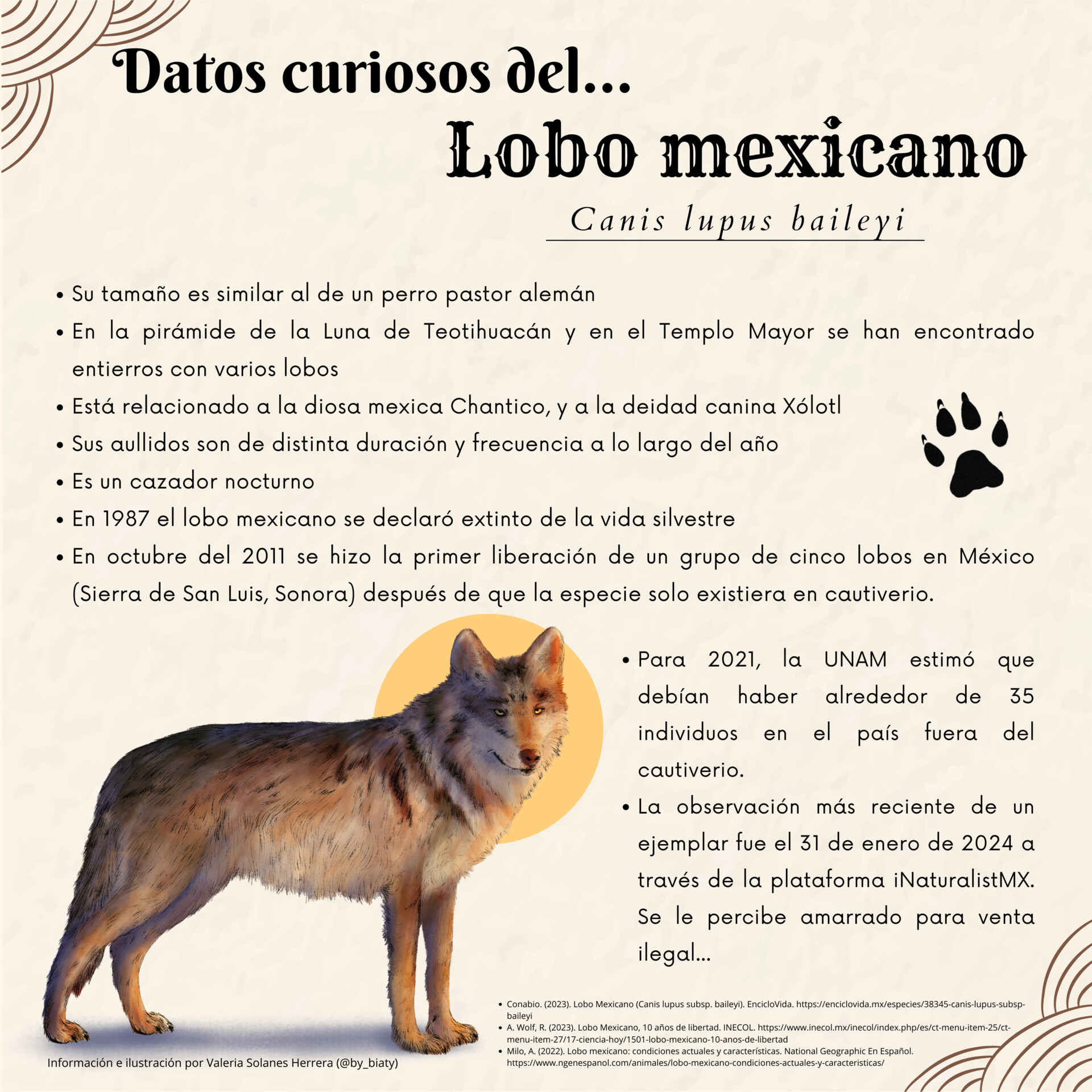 LA CIENCIA DE LA VIDA: Viaje al interior. Del lobo al perro. Origen y  evolución [Artículo Muy Interesante. Especial coleccionista], image size:1920x1920