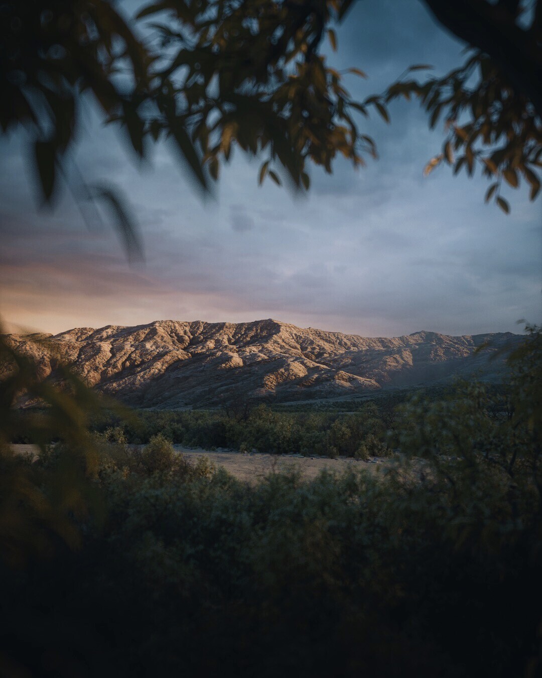 Render 009